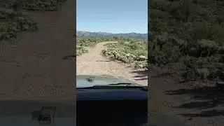 Way to the Old China Dam