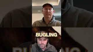 #1 Elk Hunting Tip from a Veteran Guide #pursuitwithcliff