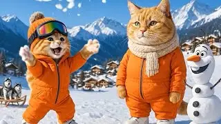mom cat saves kitten | mom cat calling her kittens | mom cat story | Cat enjoy | cat videos