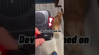 My Pet Hereoz - Barking Control Device