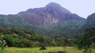 AGASTHYAKOODAM | TOURISM KERALA |