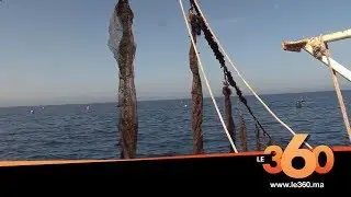 Le360.ma • Investir dans l’aquaculture. Ep2 : Tout ce qu’il faut savoir sur la mytiliculture