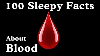 The Most Relaxing Facts About Blood to Fall Asleep To - Dreamy Science