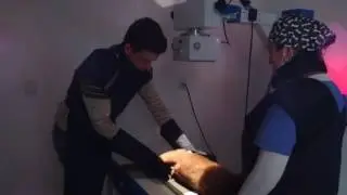 CMVE Radiologia