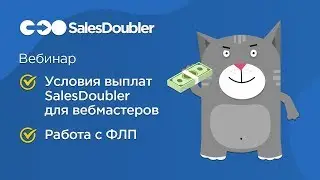 Вебинар по работе с ФЛП от CFO SalesDoubler Андрея Дзюбенко
