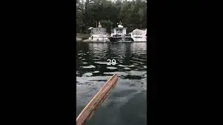 Husar&ouml;leden Finnhamn och &ouml;sterut - 206D Paradisfladen St Jolpan (Deutsch)