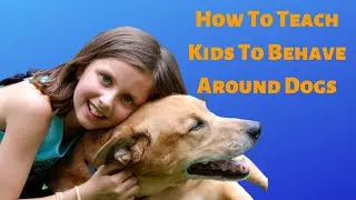Guide to Teaching Kids Proper Dog Etiquette: How to Behave Around Dogs Safely and Respectfully