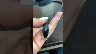 mexican black king snake | medusa