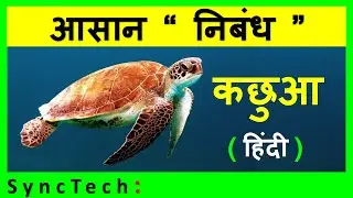 Essay on Turtle in Hindi | कछुआ पर निबंध हिंदी में