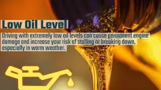 Village Auto Inc. - Presents Signs You Need and Oil Change