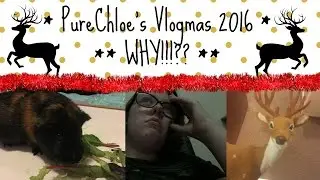 PureChloe's Vlogmas 2016 | WHY!!!?? | Day 10