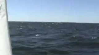 Trimaran Downwind Leg on August 18, 2007