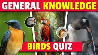 Easy Bird Quiz Questions with Answers &ndash; Fun Facts & Trivia #dailyquiz #birds #birdsquiz #mypsclife