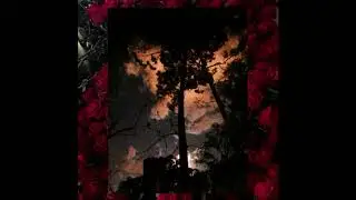5TXN3 - Social Phobia