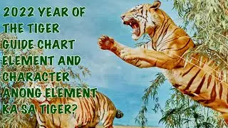 🍀2022 YEAR OF THE TIGER ELEMENTS | WATER TIGER KA BA?