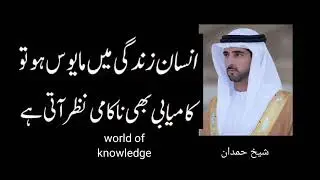 شیخ ہمدان  کی بہت ہی 5 پیاری باتیں  SheikHamdan#sheikhhamdan    #worldofknowledge '