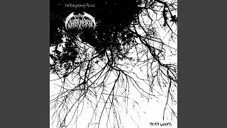 Dead Woods