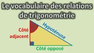 Trigonométrie : vocabulaire dans le triangle rectangle
