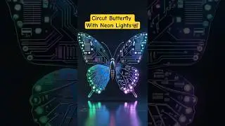 Crazy Town - Butterfly 🦋 #butterfly #lifecycle #ecommerce