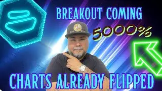 #zebecnetwork Could Shock the Market 🚀 5000% Breakout Setup Revealed