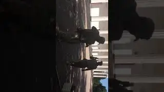 ЛУЧШИЙ ТАНЕЦ В АРМИИ! СРОЧНИК ЖГЕТ! (NEW MUSIC VIDEO 2020)