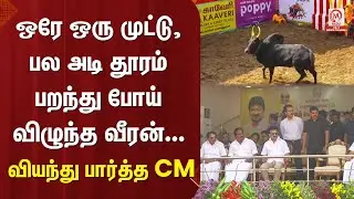 ஒரே ஒரு முட்டு, பல அடி தூரம் பறந்து போய் விழுந்த வீரன்... வியந்து பார்த்த CM | Jallikattu | M Nadu