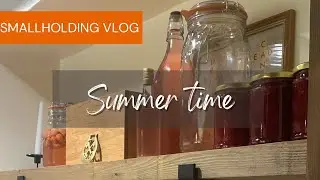 Preparing for the Heatwave | Canning Thai Red Curry Winter Pantry | Budgets | ZERO Waste VLOG