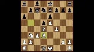 Upad dame i žrtva topa dokrajčili kralja na oslabljenom krilu POLGAR vs WINFRIDSSON #323