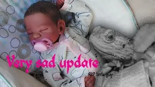 Changing 3 reborn dolls into new outfits, may update 2024