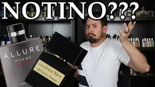 WHAT HAPPENED TO NOTINO.COM? | Top Discounter Goes Down