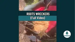 ROOTS WRECKERS (FULL Video) Roots Blocked Drain Plymouth UK #drainunblocking #rootsindrain