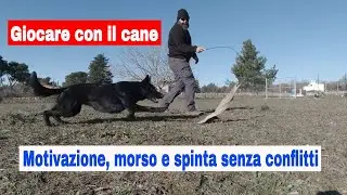 Giocare con il cane. Motivazione, morso e spinta senza conflitti