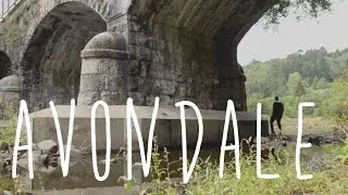 Avondale Forest Park | I've Been Out Walking