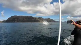 Phenomenal experience with Orcas (Killer Whales) in False Bay, South Africa (Wait till the end!)