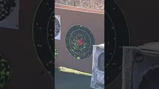 Rossi tuffy turkey 410 open sight at 20 yards with stock choke and Winchester double x 7.5 shot 3&rdquo;