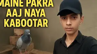 Alhamdulillah 🥳.. finally  kabutar pakad liya ..   MR pets vlog...