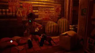 Stray part3