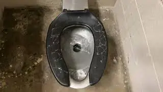[603] Unsanitary Park Restroom