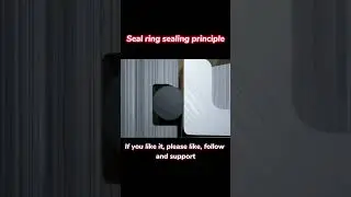 Unlocking the Secrets of Seal Rings: How They Keep Machines Leak-Free!