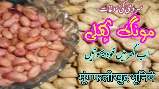 Mong Phali Ghar me Kese bhone? I How Roast Salty Peanut at Home I मूंगफली भुनी I SaltNTips Recipe