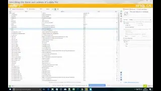 Revis&atilde;o Variaveis - Programa&ccedil;&atilde;o - Windev - 08:00 - Erp