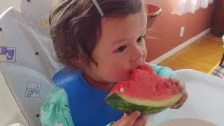 Watermelon Madness