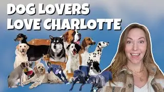 Charlotte Dog Lovers | Why Charlotte is a Dog Town