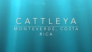 Monteverde 🇨🇷 Costa Rica, Cattleya - accommodations close to the cloud forest and attractions