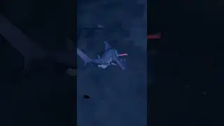 shark attack in animal Company #animalcompany #ac #vr #gaming #gameplay #shark #sharkattack #jaws