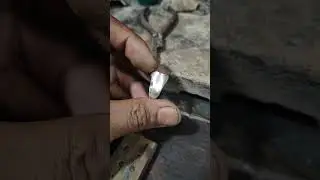 silver AS logo round stamp ring