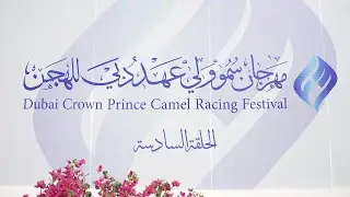 اهل الهجن - مهرجان سمو ولي عهد دبي للهجن/ هيثم الحمادي / الحلقة السادسة / ١٦-١-٢٠٢٦