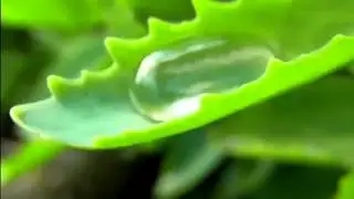 FREE Slow motion videoWater drops