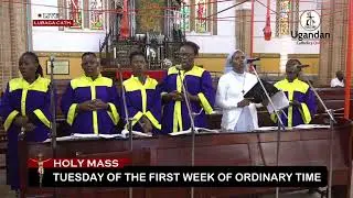 Tuesday of the First Week in Ordinary Time |12th-January-2026