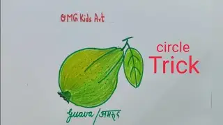 How to draw guava fruit with trick , draw  source of vitamin C for EVS science, अमरूद का चित्र